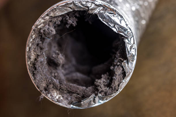 Best Air Vent Cleaning Services  in Ancient Oaks, PA